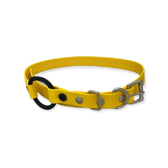 E-Collar Technologies-E-Collar Technologies - 3/4" Width Bungee Collar