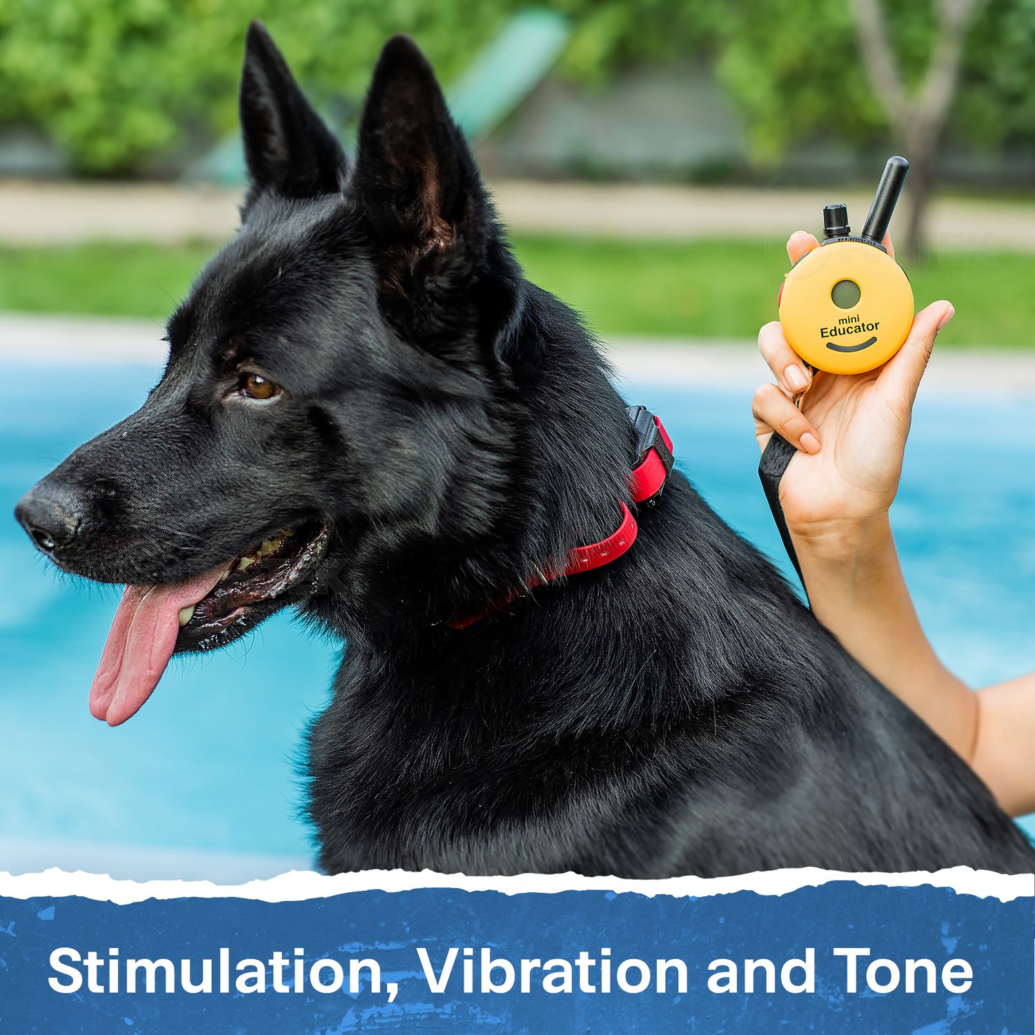 Mini Educator ET-300 Remote Dog Training Collar by E-Collar Technologies - Yellow Remote Mini Educator ET-300 Remote Dog Training Collar by E-Collar Technologies - Yellow Remote