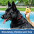E-Collar Technologies ET-300 Dog Wearing Remote Training Collar