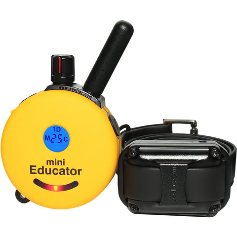 E-Collar Technologies ET-300 Remote Training Collar Set with Transmitter and Receiver