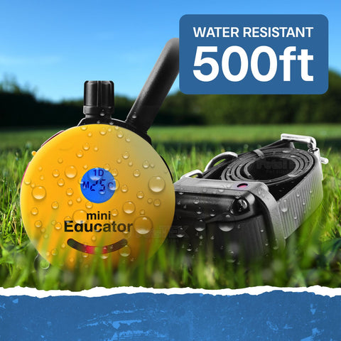 E-Collar Technologies ET-300 Water Resistant Remote Training Collar