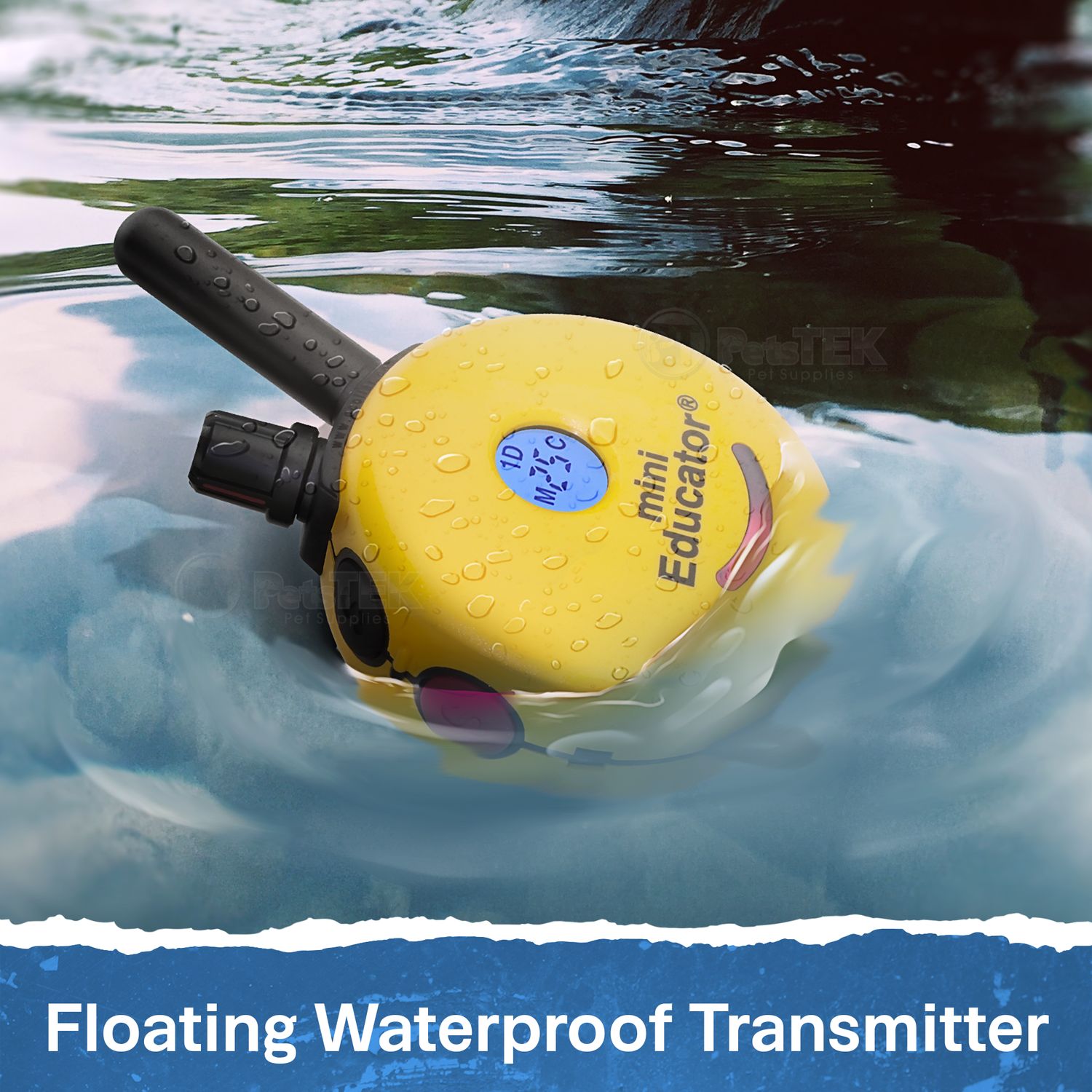 Mini Educator ET300 Remote Dog Training Collar by ECollar Technologi