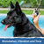 E-Collar Technologies ET-300-Z Dog Wearing Remote Training Collar