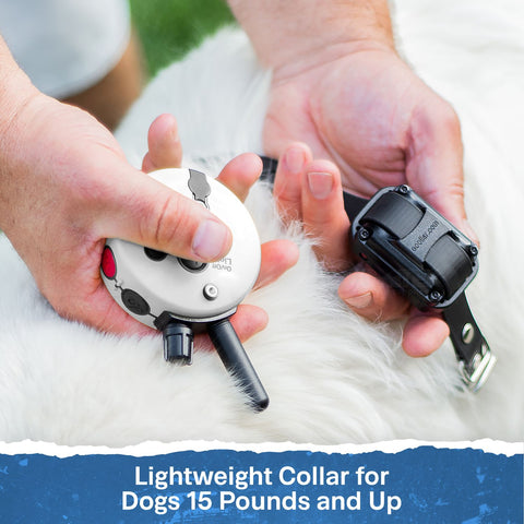 E-Collar Technologies ET-300-Z Remote Training System for Dogs 15 Pounds and Up