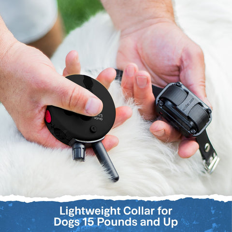 E-Collar Technologies ET-302-BK-PC Remote Training Collar for Dogs 15 Pounds and Up
