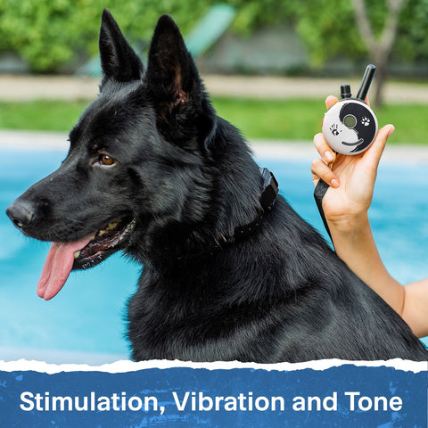 E-Collar Technologies ET-302-Z Dog Wearing 2-Dog Zen Educator Remote Training Collar