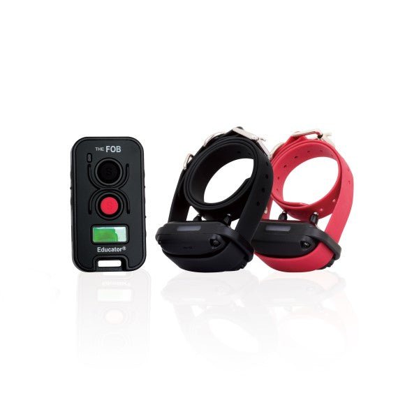 E-Collar Technologies-FOB Educator FE-562 Remote Training Collar by E-Collar Technologies