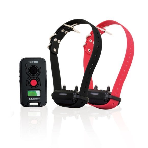 E-Collar Technologies-FOB Educator FE-582 Remote Training Collar by E-Collar Technologies