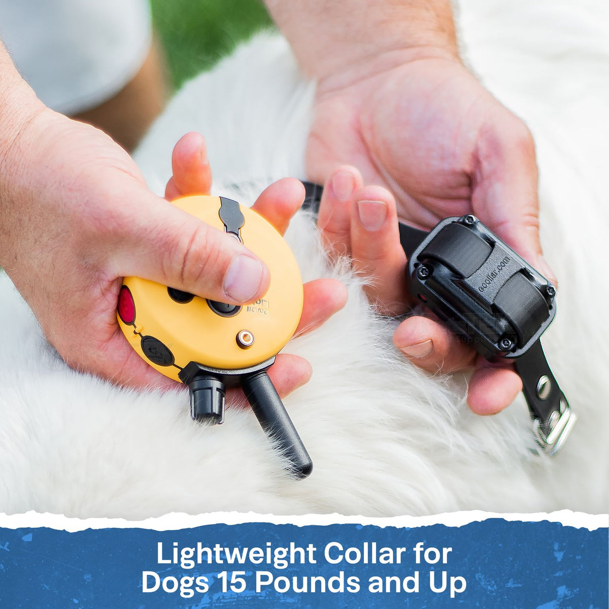 E-Collar Technologies FT-330 Finger Trainer Remote E-Collar for Dogs 15 Pounds and Up