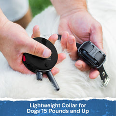 E-Collar Technologies-Mini Educator ET-300 Remote Dog Training Collar Black by E-Collar Technologies