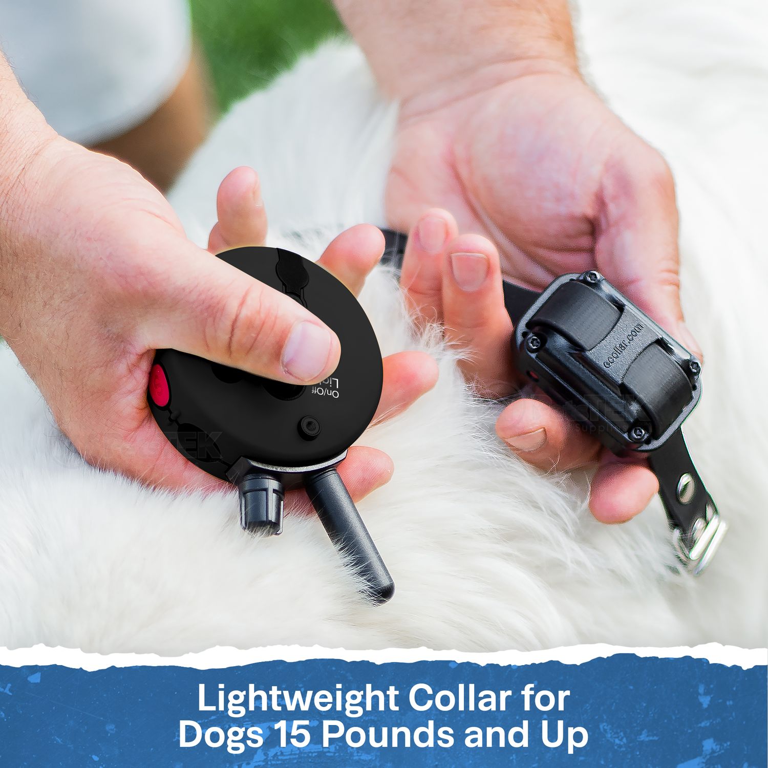 E-Collar Technologies-Mini Educator ET-300 Remote Dog Training Collar Black by E-Collar Technologies