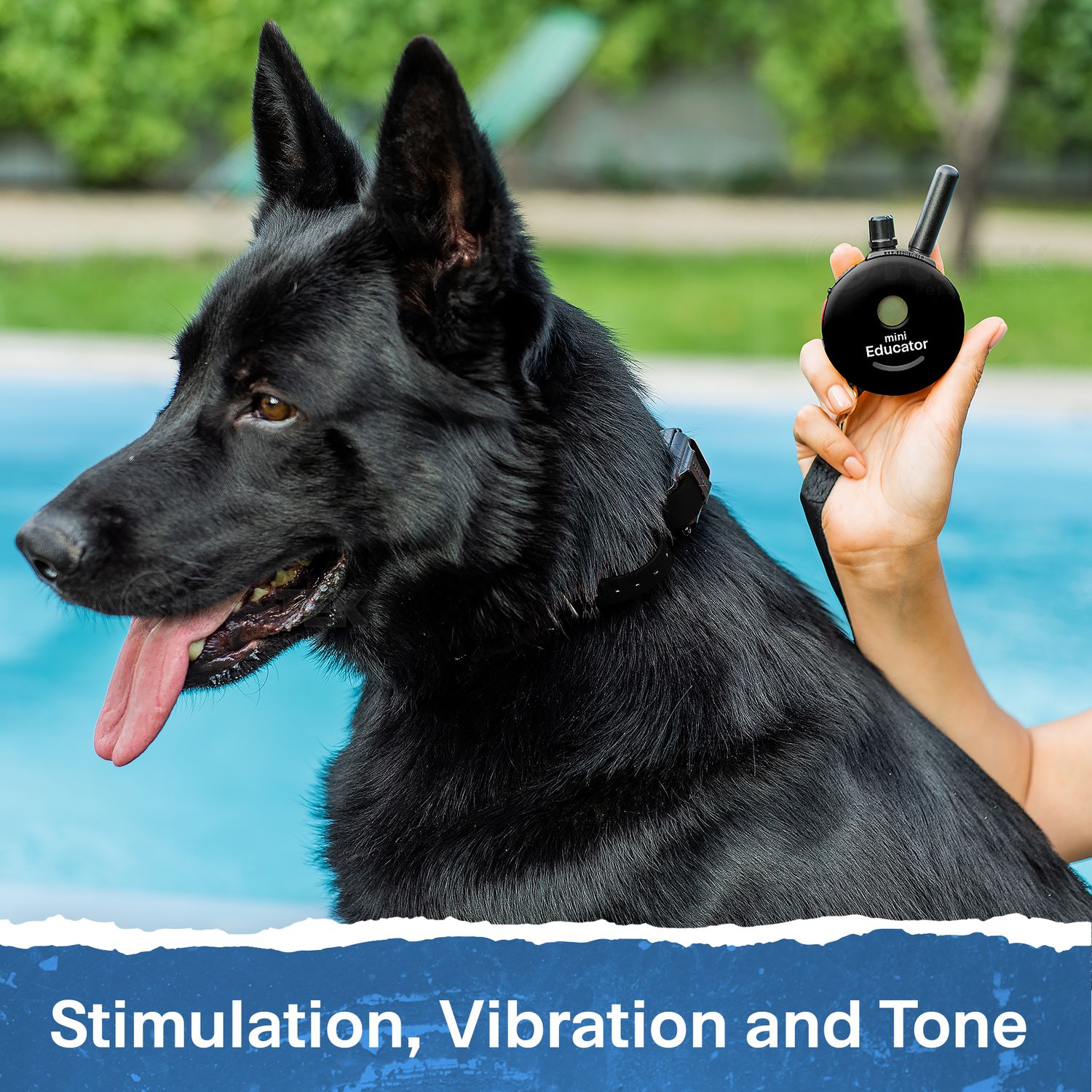 E-Collar Technologies-Mini Educator ET-300 Remote Dog Training Collar Black by E-Collar Technologies
