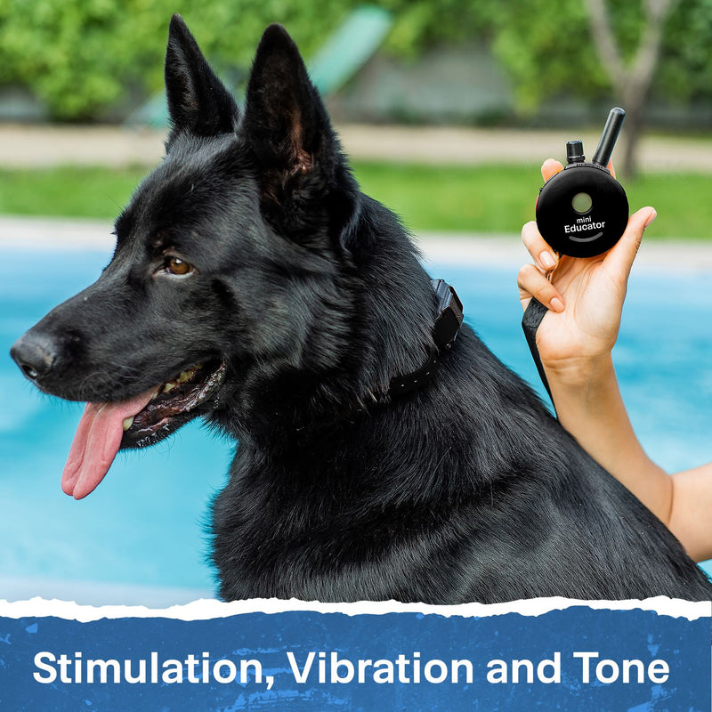 Mini Educator ET-300 Remote Dog Training Collar Black by E-Collar Technologies-zoom-