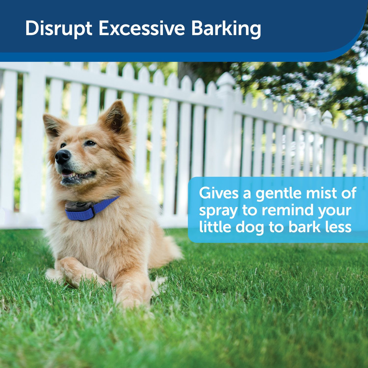 PetSafe PBC00-11283 Elite Little Dog Spray No Bark Collar Disrupts Excessive Barking