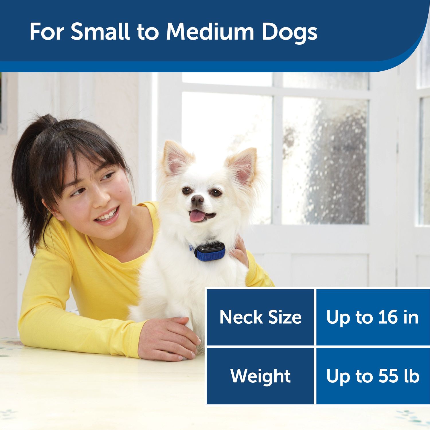 PetSafe PBC00-11283 Elite Little Dog Spray No Bark Collar Dog Size Recommendation