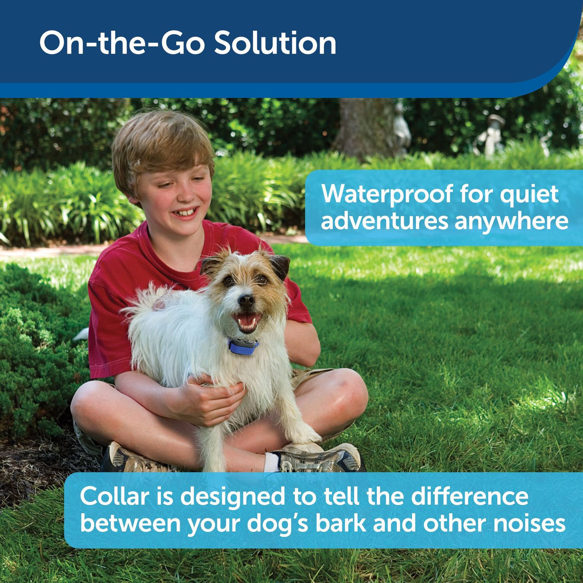 PetSafe PBC00-11283 Elite Little Dog Spray No Bark Collar Features Lifestyle