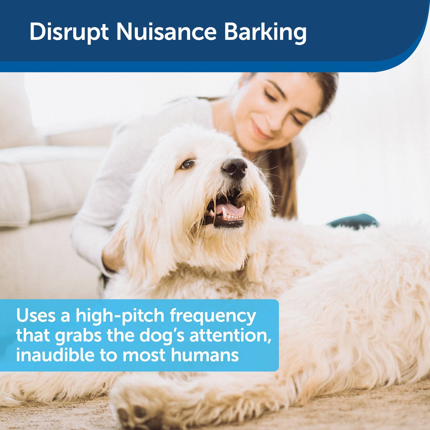 PetSafe PBC00-13925 Ultrasonic Bark Control Collar to Disrupt Nuisance Barking