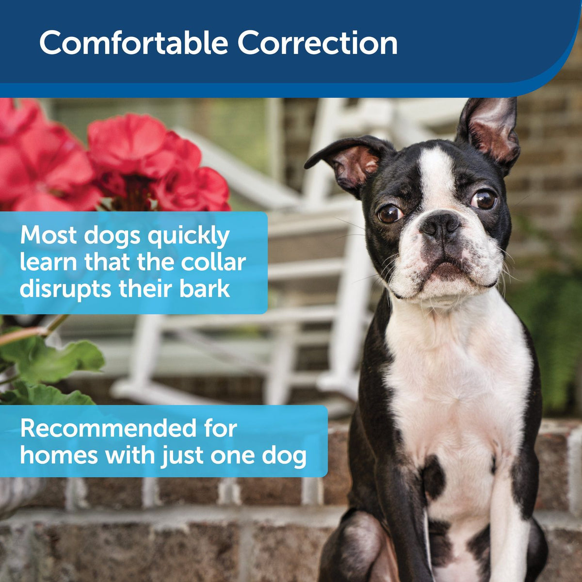 PetSafe PBC00-13925 Ultrasonic Bark Control Collar with Comfortable Correction