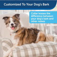 PetSafe PBC00-16368 Spray Bark Collar Features