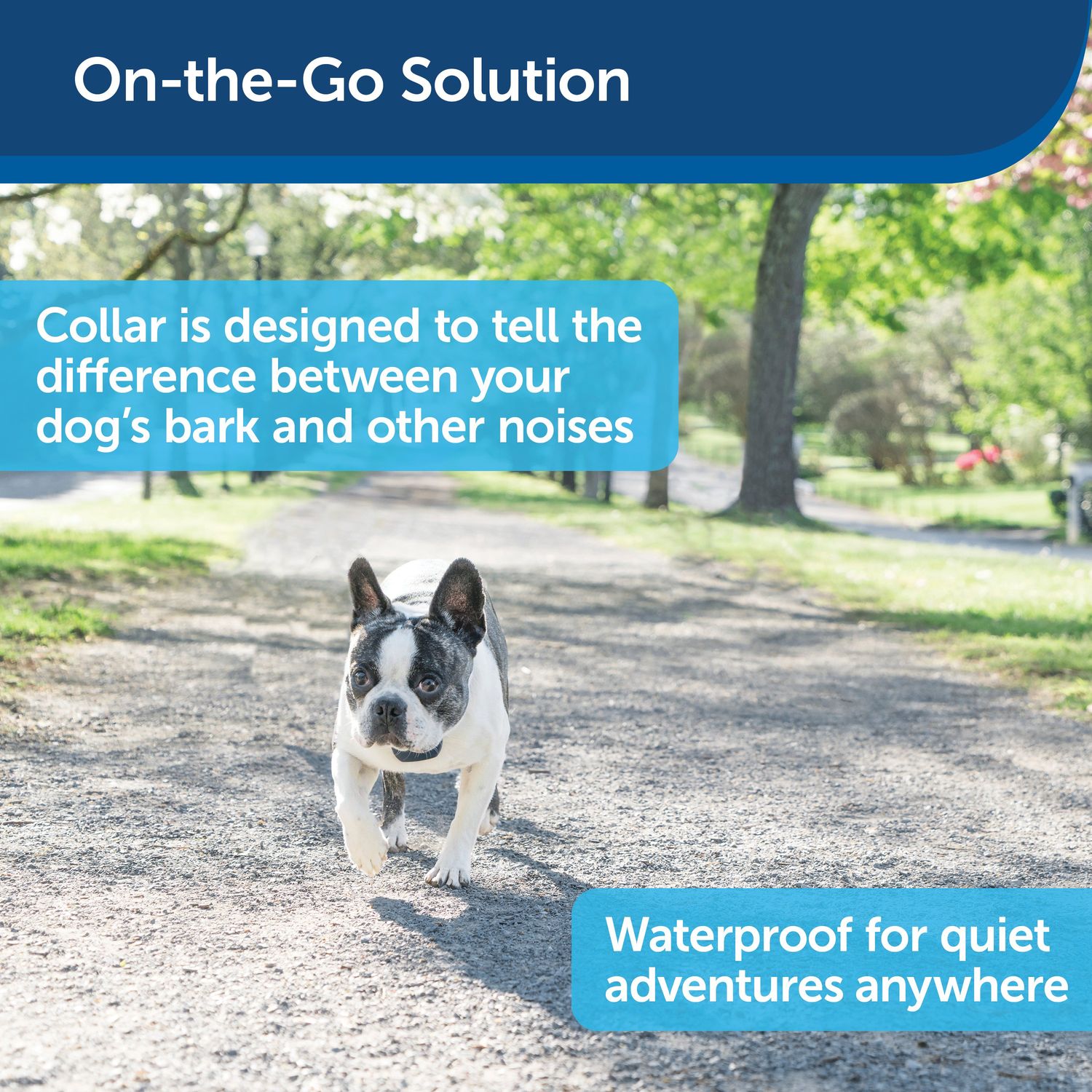 PetSafe PBC0016446 Lite Rechargeable Bark Collar Rechargeable B