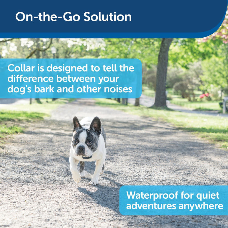 PetSafe - PBC00-16446 - Lite Rechargeable Bark Collar - Rechargeable Battery - No Bark Collar-zoom-