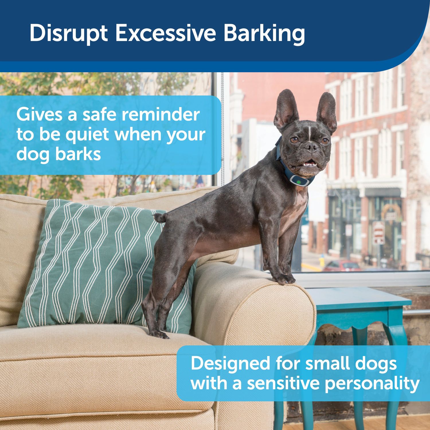 PetSafe PBC0016446 Lite Rechargeable Bark Collar Rechargeable B