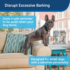 PetSafe PBC00-16446 Lite Rechargeable Bark Collar for Excessive Barking