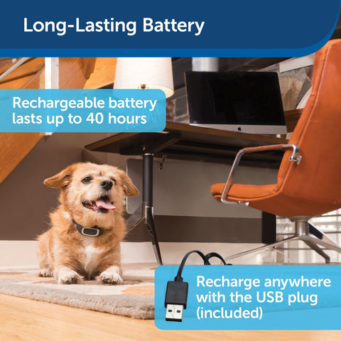 PetSafe PBC00-16446 Lite Rechargeable Bark Collar with Long-Lasting Battery