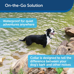 PetSafe PBC00-16634 No Bark Collar On the Go Solution