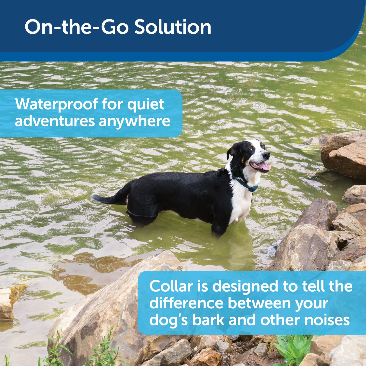PetSafe PBC00-16634 No Bark Collar On the Go Solution