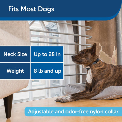 PetSafe PBC00-16634 No Bark Collar Size Recommendation