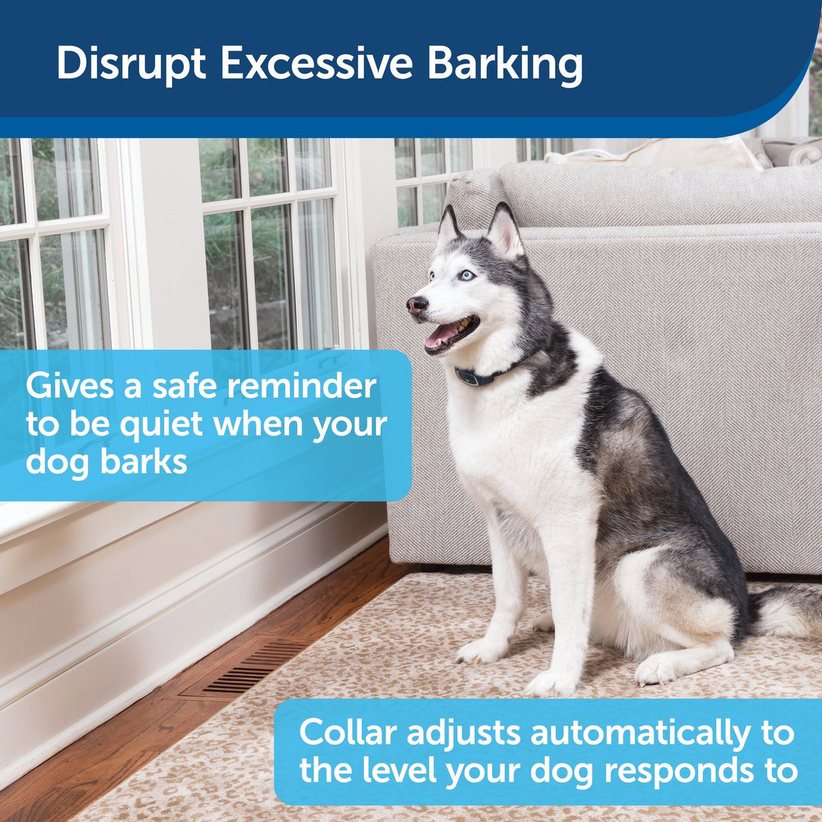 PetSafe PBC00-16634 No Bark Collar to Disrupt Excessive Barking