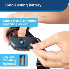 PetSafe PBC00-16634 No Bark Collar with Long-Lasting Battery
