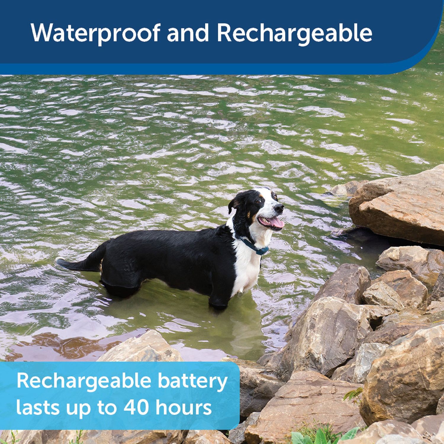 PetSafe PDT00-16117 Waterproof 300 Yard Remote Training Collar