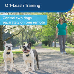 PetSafe PDT00-16120 600 Yard Remote Training Collar for Off-Leash Training