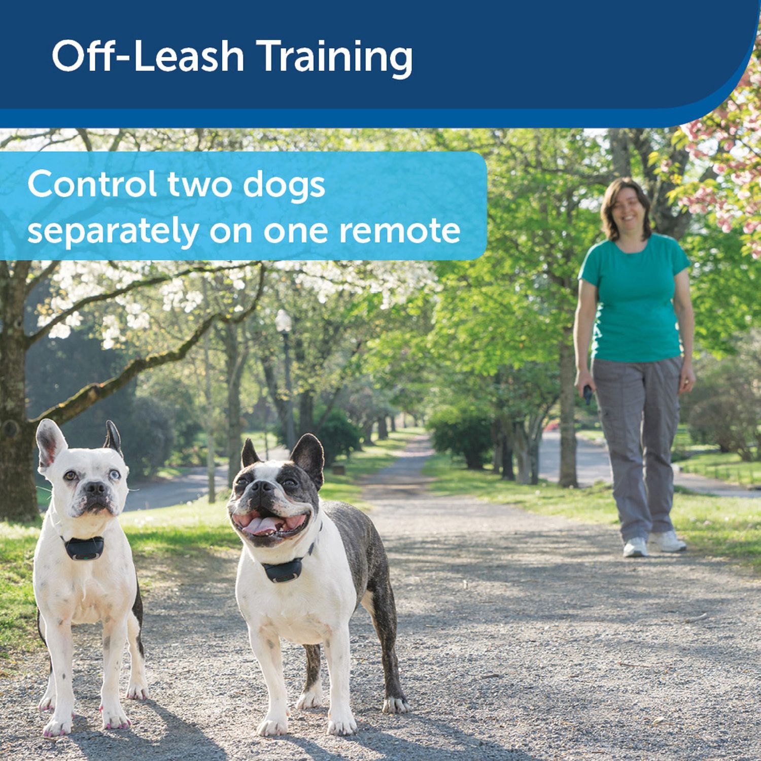 PetSafe PDT00-16123 900 Yard Remote Training Collar for Off-Leash Training