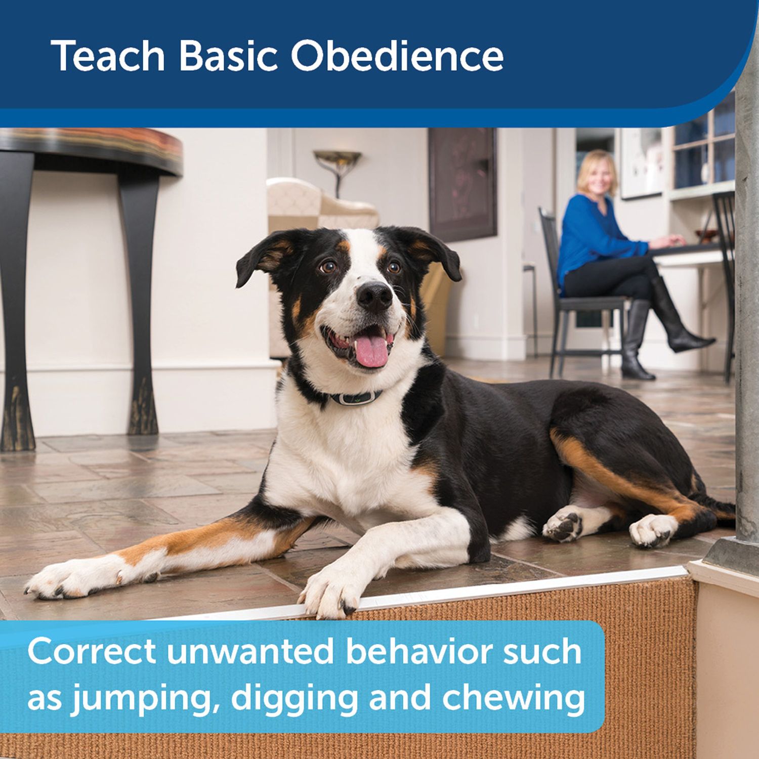PetSafe PDT00-16126 100 Yard Remote Training Collar for Basic Obedience Training