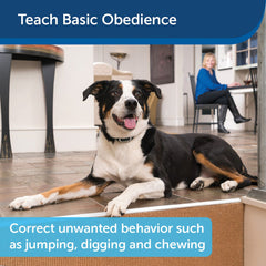 PetSafe PDT00-16126 100 Yard Remote Training Collar for Basic Obedience Training
