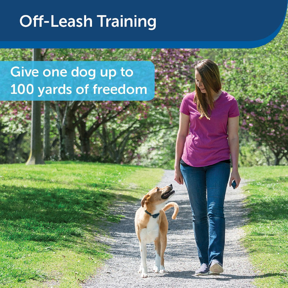 PetSafe PDT00-16126 100 Yard Remote Training Collar for Off-Leash Training