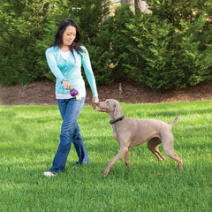 PetSafe-PetSafe - PIF00-15001 - Stay and Play - Wireless E-Fence