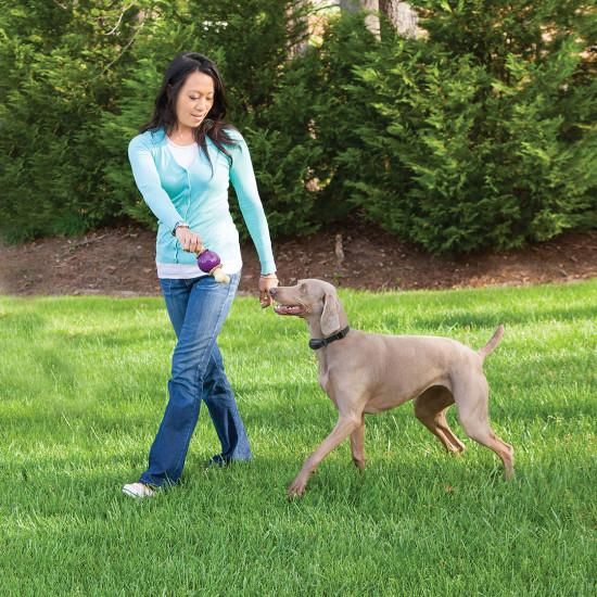 PetSafe-PetSafe - PIF00-15001 - Stay and Play - Wireless E-Fence
