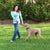 PetSafe PIF00-15001 Dog Wearing Free to Roam Wireless E-Fence Collar