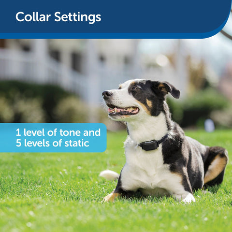 PetSafe PIG00-11115 YardMax Rechargeable In-Ground Fence Receiver Collar Settings