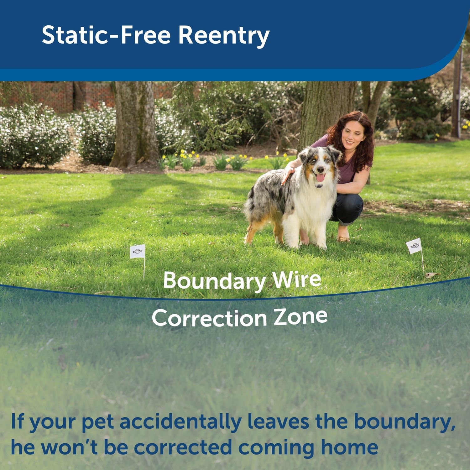 PetSafe PIG00-11115 YardMax Rechargeable In-Ground Fence Static-Free Reentry