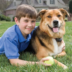 PetSafe PIG00-14582 Boy with Dog Wearing Basic In-Ground Fence Collar