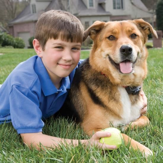 PetSafe - PIG00-14582 - Basic In-Ground Fence System - In-Ground Fence-zoom-