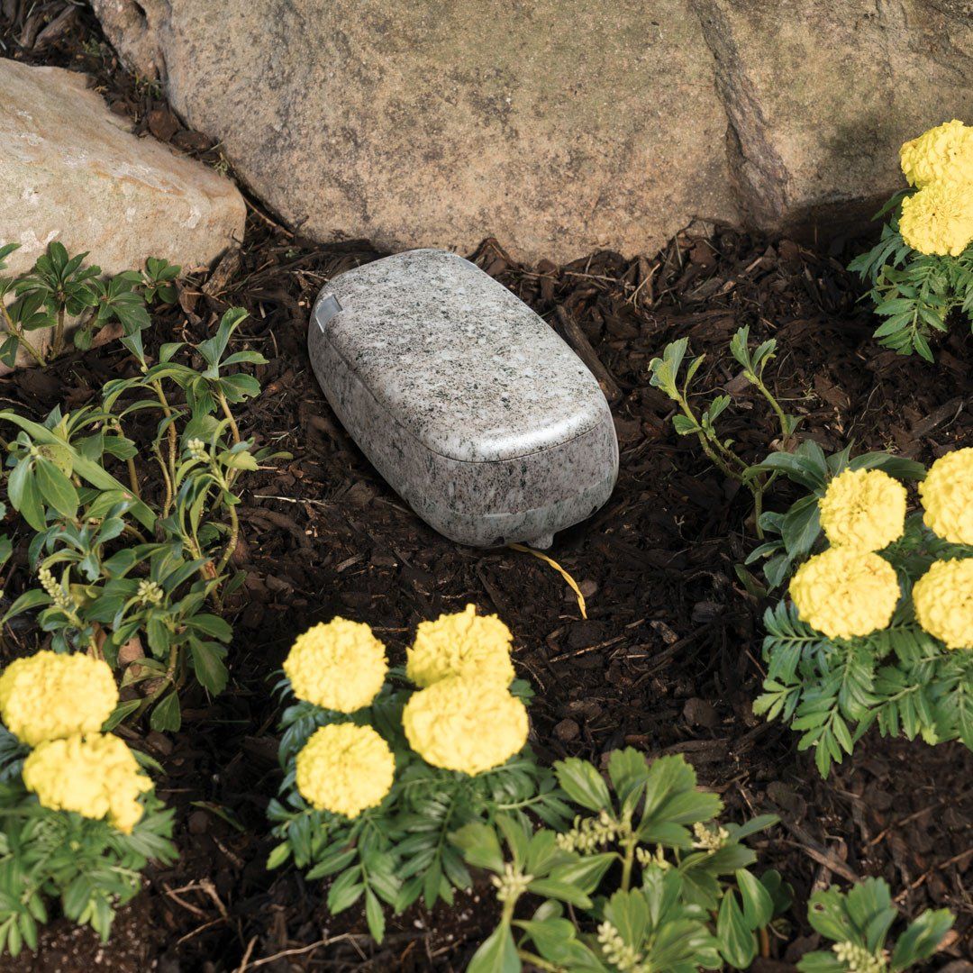 PetSafe PIG0015958 YardMax Cordless InGround Fence InGround F