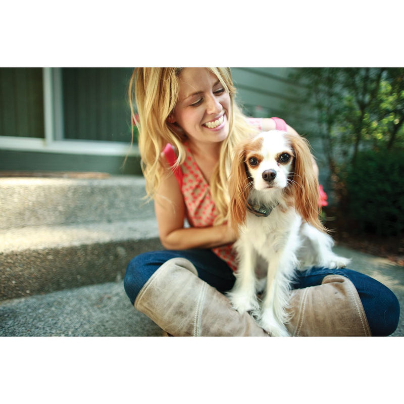 PetSafe - PIG20-11041 - Elite Little Dog In-Ground Fence - In-Ground Fence-zoom-