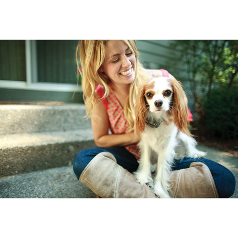 PetSafe PIG20-11041 Dog Wearing Elite Little Dog In-Ground Fence Collar
