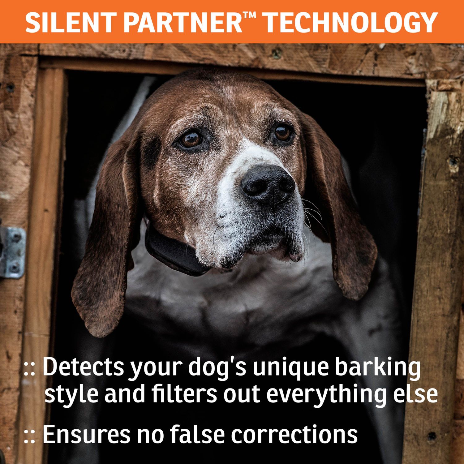 SportDOG SBC-8 No Bark Remote Training Collar Silent Partner Technology